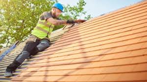 Best Roof Maintenance and Cleaning  in Fruitland, IA